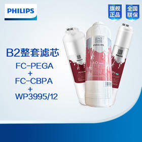 Philips/飞利浦B2/F1净水器两年五支滤芯【WP3975(B2)*2+WP3976(B2)*2+WP3995/12】