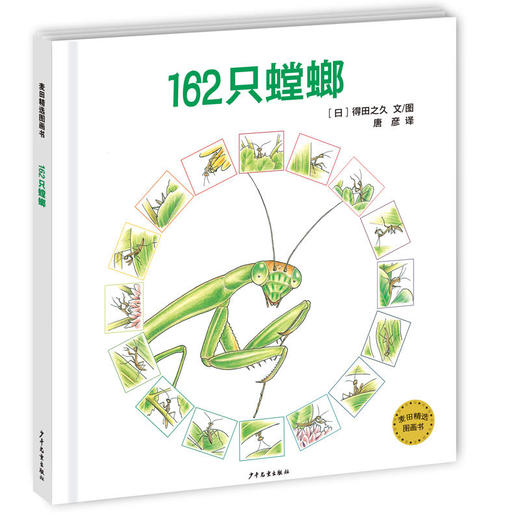 162只螳螂 商品图0