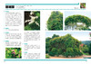 植物造景丛书——藤蔓植物景观 商品缩略图3