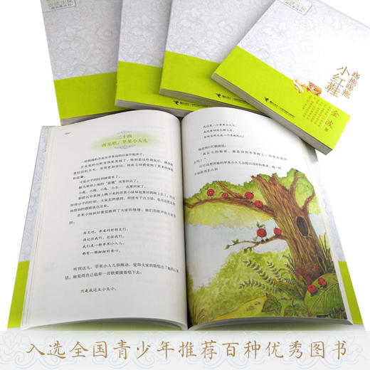 二年级必读经典书目 国际安徒生奖提名者丛书 踢拖踢拖小红鞋 商品图5