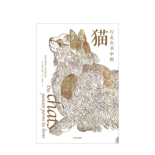 【定制月历版】行走在书中的猫 [法] 米歇尔·萨凯著  高阶“吸猫” 中信出版社图书 正版书籍 商品图3