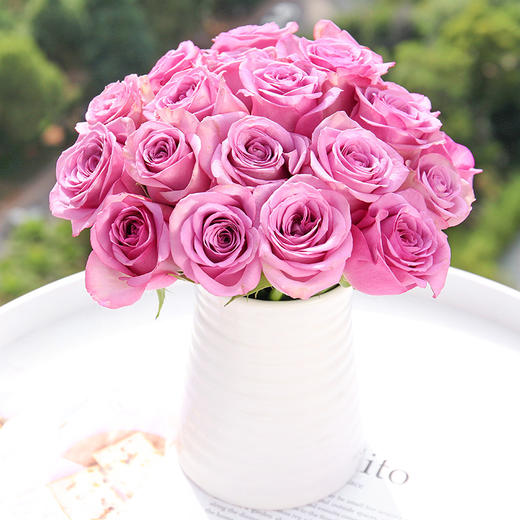 冷美人玫瑰18支送2支扎空运包邮