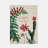 Alexander von Humboldt: And the Botanical Exploration of the Americas/亚历山大·冯·洪堡：美洲的植物学探索 商品缩略图0