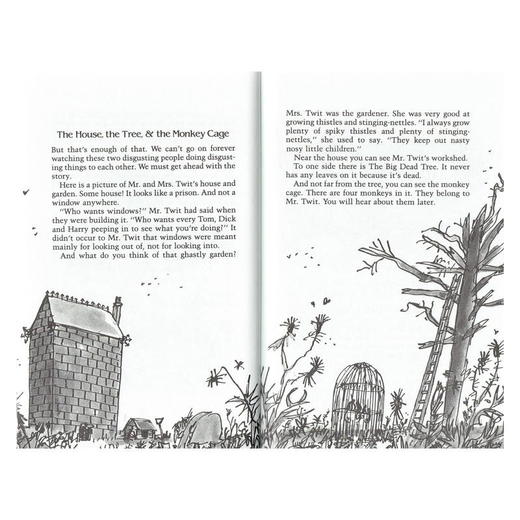 【中商原版】蠢特夫妇 英文原版 The Twits 罗尔德达尔 儿童文学 经典儿童小说 名家名作 商品图2