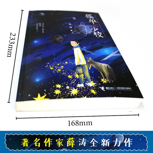 孤单的少校 薛涛 中国新闻出版广电报2018年度好书 正版儿童小说 商品图6