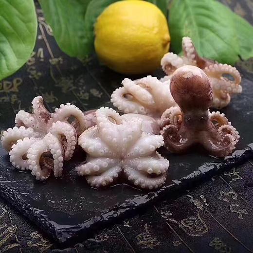 小八爪鱼纯野生海捕鲜活急冻不泡水口感好煮后不出水每份约400克