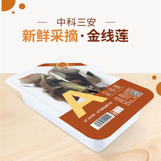 【积分可抵现】中科三安有机金线莲鲜品25g*6盒 商品图3