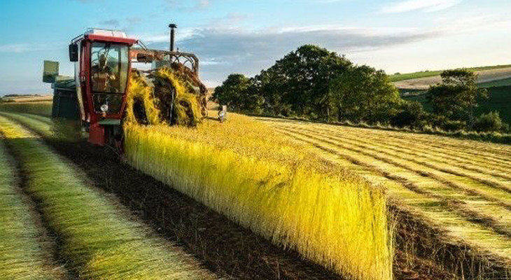 322workhouse亚麻系列法国诺曼底雨露麻夏布麻衫素净优雅