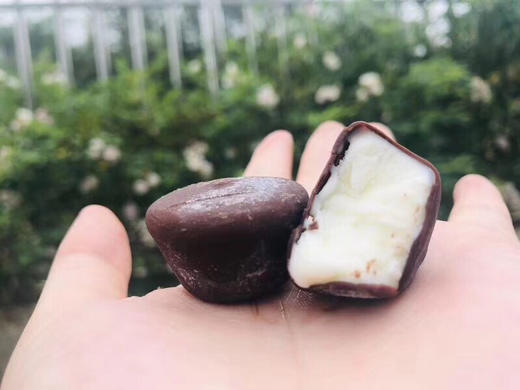 日本🇯🇵MEITO名糖香草🌿巧克力🍫球冰淇淋，比利时巧克力➕南美洲香草➕稀奶油来自日本的冰醇浓情一口融化在嘴里的味道，还没细细品味又拆一颗[偷笑][偷笑] 商品图1