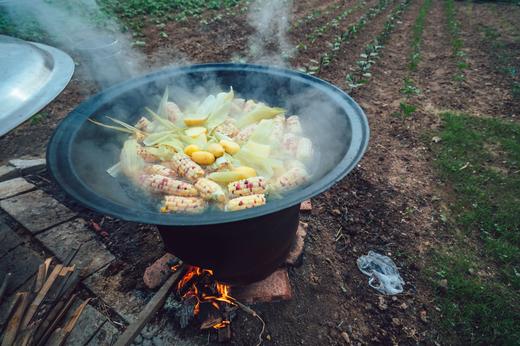 这片地！我承包了丨物元农场一亩田150kg 商品图6