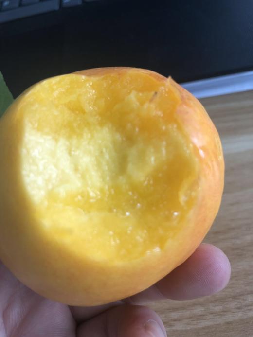【黄肉油桃】软吃爆浆流汁，硬吃脆甜爽~ 商品图2