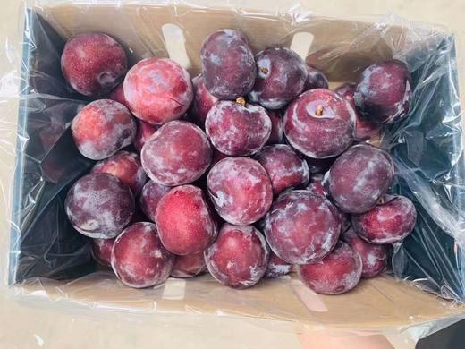 樱桃李 商品图1