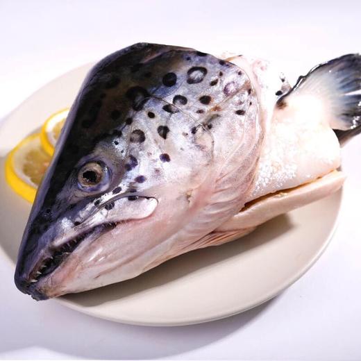 三文鱼头胆固醇图片