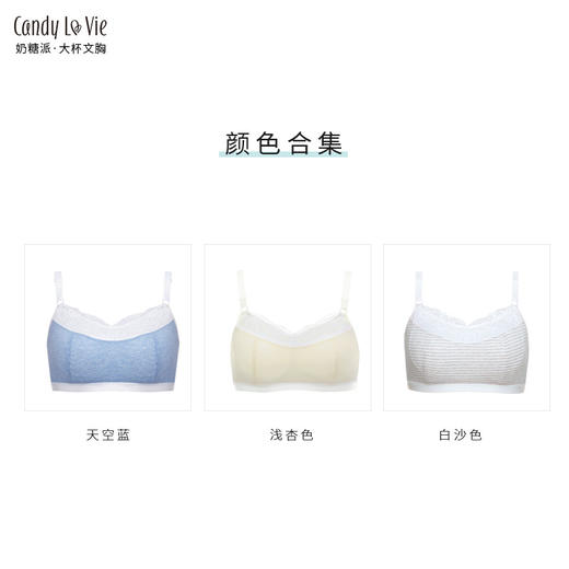 筑梦师(D006) 商品图1