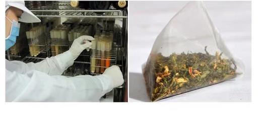 【烟酒人士必备】金线莲宝肝茶叶可选养生a大八角礼盒装5gx60泡 b高档玻璃镜面礼盒装 5gX50泡 商品图6