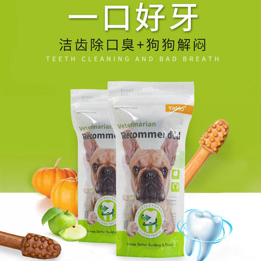 亚禾狗狗磨牙棒洁齿骨头162g单支装 洁齿狗狗零食【拍组合装更划算 指定口味可备注】 商品图2