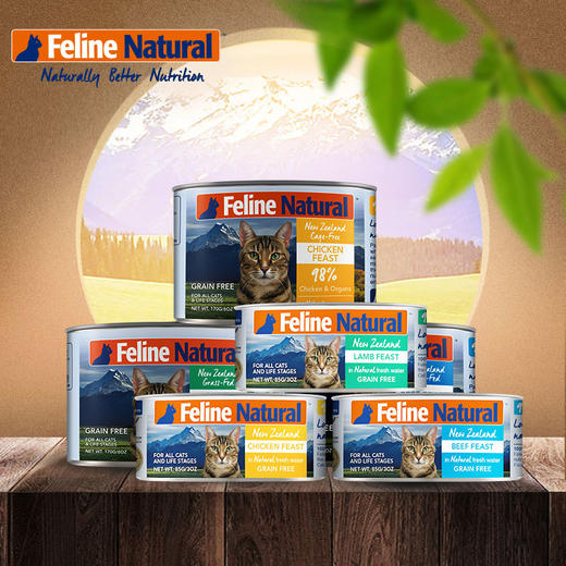 新西兰K9 Feline Natural 天然无谷主食猫罐 85g/170g 商品图0