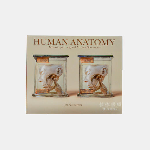 Human Anatomy: Stereoscopic Images of Medical Specimens/人体解剖学：医学标本的立体图像/Jim Naughten摄影作品 商品图0