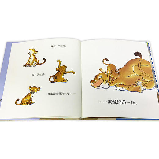 像妈妈一样 商品图2