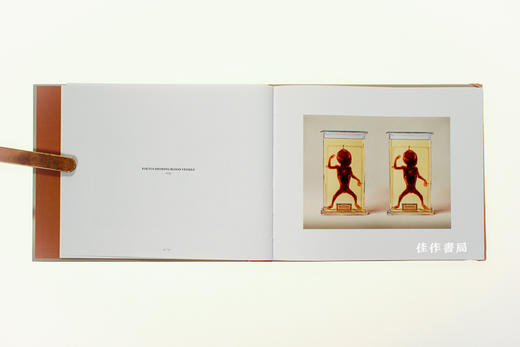 Human Anatomy: Stereoscopic Images of Medical Specimens/人体解剖学：医学标本的立体图像/Jim Naughten摄影作品 商品图4