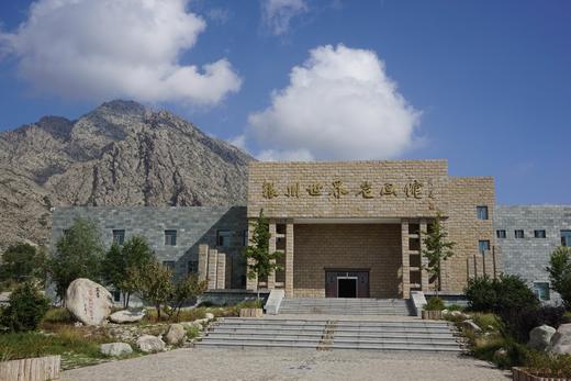 【宁夏3日】沙湖+沙坡头+通湖草原+西部影视城+西夏王陵3日游 商品图6