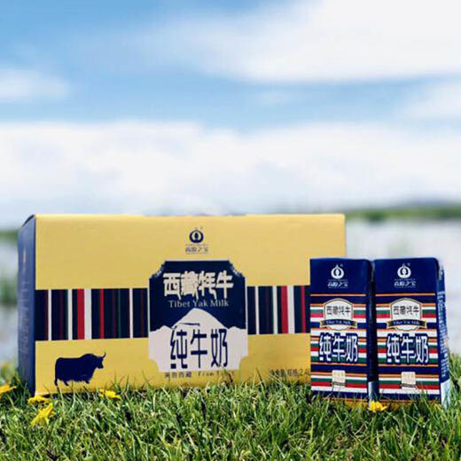 旧版产品    【西藏高原之宝】200ml 牦牛奶 成人孕妇学生儿童牛奶 纯奶 牛乳 商品图3