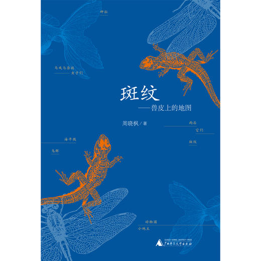 斑纹兽皮上的地图周晓枫著