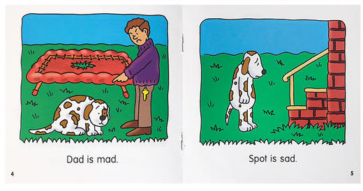 【4岁+推荐】自然拼读“红宝盒” Decodable Readers Box AB 2盒+讲解，流利拼读【配套精讲训练营】送全套原声音频 商品图8