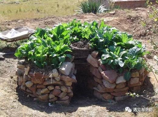 第三期朴门自然教育亲子工作坊～锁孔花园 商品图1