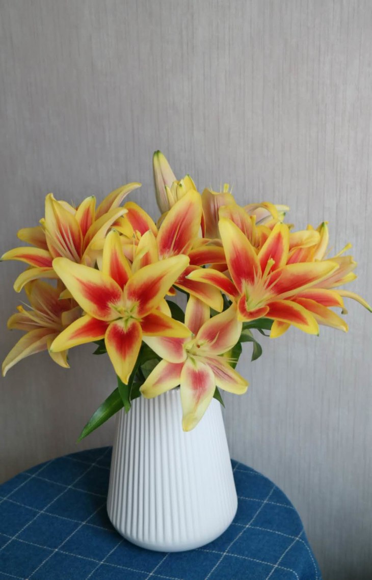 【昆明直发】亚百合:皇冠(多头)!39.