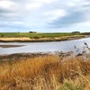 彼得黑德高尔夫俱乐部 Peterhead Golf Club | 阿伯丁高尔夫 | 苏格兰高尔夫 | 英国高尔夫球场俱乐部 | 欧洲高尔夫 商品缩略图2