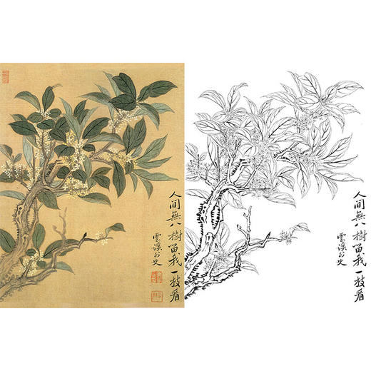 恽寿平没骨花鸟白描底稿-斗方小品册页-SP76 商品图0