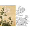 恽寿平没骨花鸟白描底稿-斗方小品册页-SP71 商品缩略图0