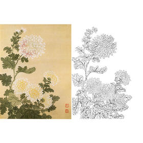 恽寿平没骨花鸟白描底稿-斗方小品册页-SP71
