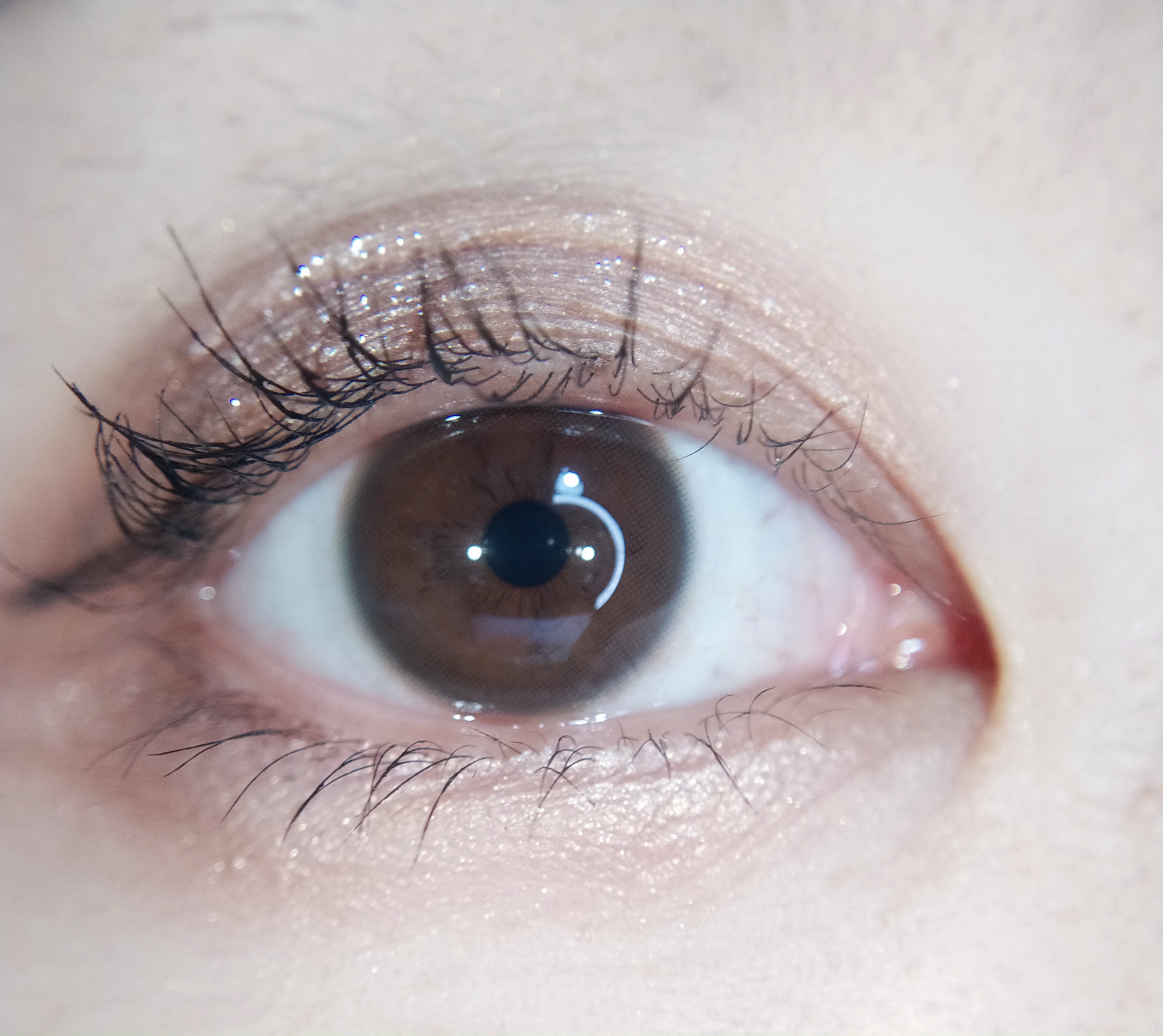 【敏感眼】DorisCon Pro⁺牛奶巧克力约14.0mm着色约13.0【年抛】