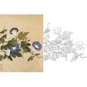 恽寿平没骨花鸟白描底稿-斗方小品册页-SP69