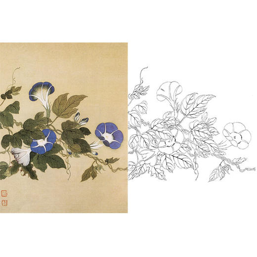 恽寿平没骨花鸟白描底稿-斗方小品册页-SP69 商品图0