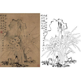 恽寿平没骨花鸟白描底稿-斗方小品册页-SP66