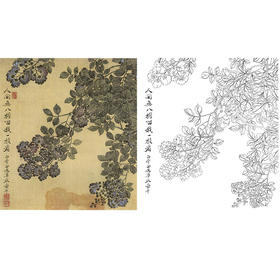 恽寿平没骨花鸟白描底稿-斗方小品册页-SP57