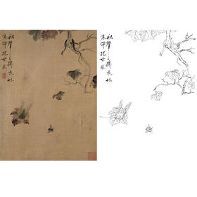 恽寿平没骨花鸟白描底稿-斗方小品册页-SP63