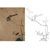 恽寿平没骨花鸟白描底稿-斗方小品册页-SP60 商品缩略图0