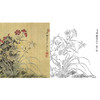 恽寿平没骨花鸟白描底稿-斗方小品册页-SP59 商品缩略图0