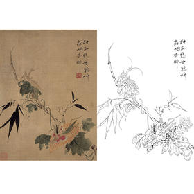 恽寿平没骨花鸟白描底稿-斗方小品册页-SP62