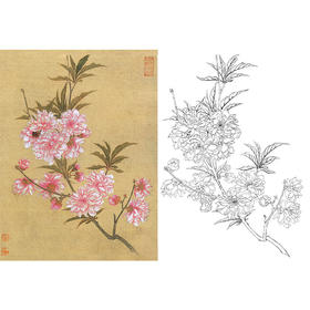 恽寿平没骨花鸟白描底稿-斗方小品册页-SP80