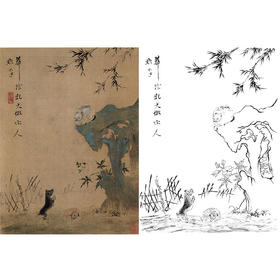 恽寿平没骨花鸟白描底稿-斗方小品册页-SP67