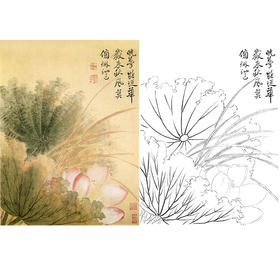 恽寿平没骨花鸟白描底稿-斗方小品册页-SP74
