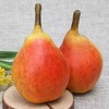【南非进口彩梨】5粒装，个头较大，口感更甜，熟软后更好吃。 商品缩略图2