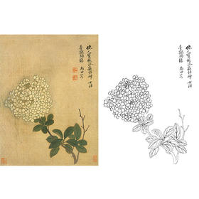 恽寿平没骨花鸟白描底稿-斗方小品册页-SP79