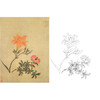 恽寿平没骨花鸟白描底稿-斗方小品册页-SP81 商品缩略图0