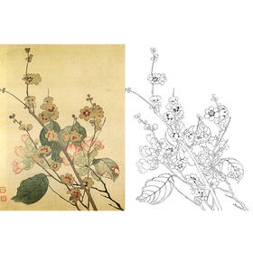 恽寿平没骨花鸟白描底稿-斗方小品册页-SP72